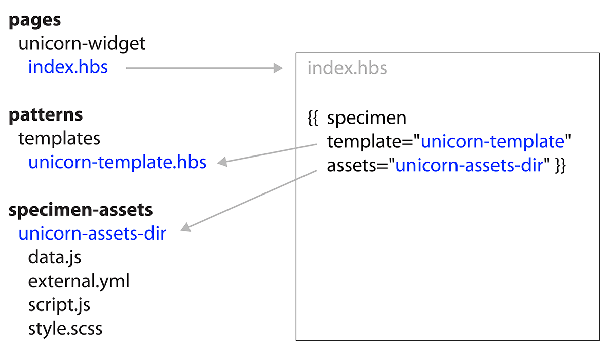 Specimen file and directory structure